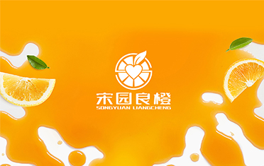 某良橙——自贡LOGO设计